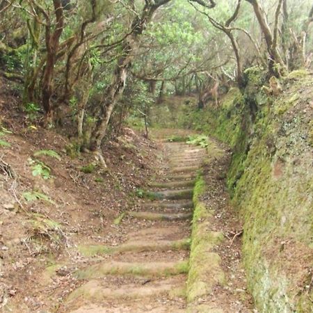 Casa Del Cu Bano B- Biosphere Reserve ซานตาครูซ เด เตเนริเฟ ภายนอก รูปภาพ